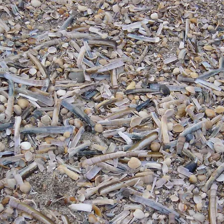 Haus Nordseeresidenz 94